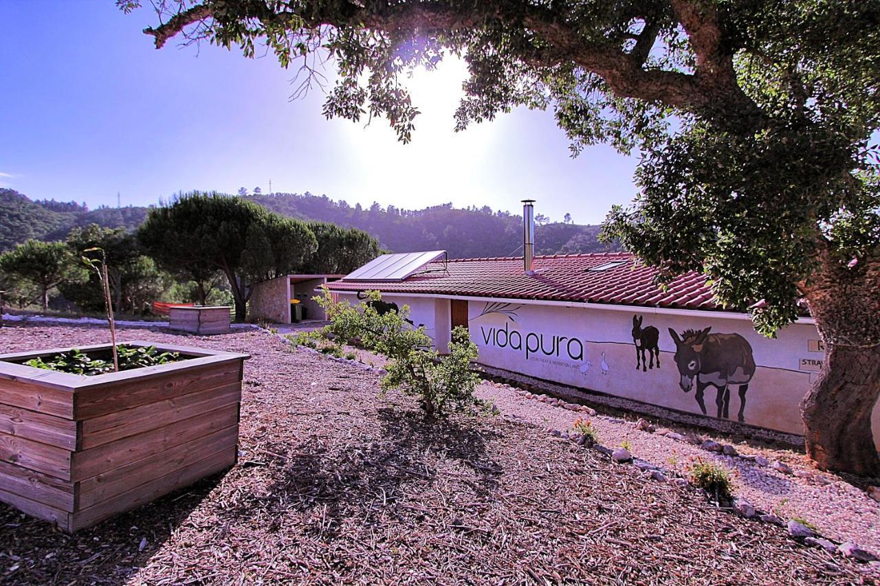 Vida Pura Guesthouse Odeceixe Exteriér fotografie